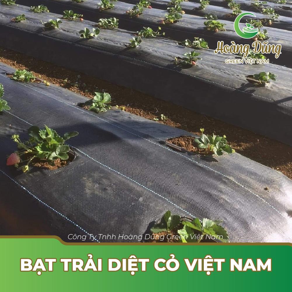 Vải địa kỹ thuật được trải trên mặt đất của luống trồng để ngăn cỏ dại